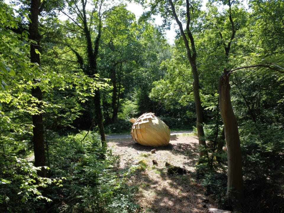 a large wooden acorn rests in a forest